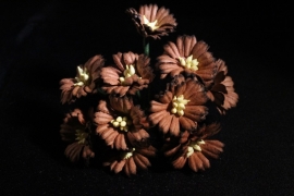 WILD ORCHID CRAFTS - BROWN COSMOS DAISIES