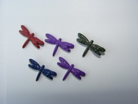 Jewel Dragonflies