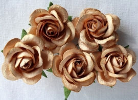 Trellis Roses - Light Brown