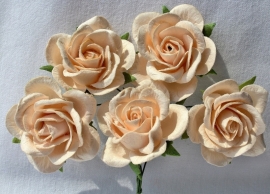 Trellis Roses - Light Peach