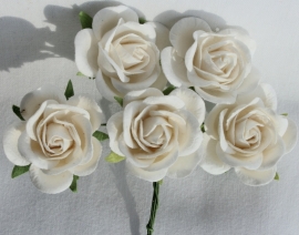 Trellis Roses - Off White
