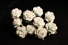 WILD ORCHID CRAFTS - MULBERRY PAPER OPEN ROSES 15 mm - Mint Green - bosje met 10 stuks