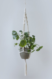 DIY pakket macramé plantenhanger naturel