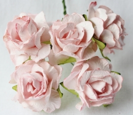 WILD ORCHID CRAFTS - Pale Pink Paper Wild Roses 30mm - 5 stuks