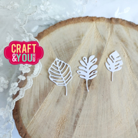 Craft & You Design -  Leaves Set WM1 - CW240