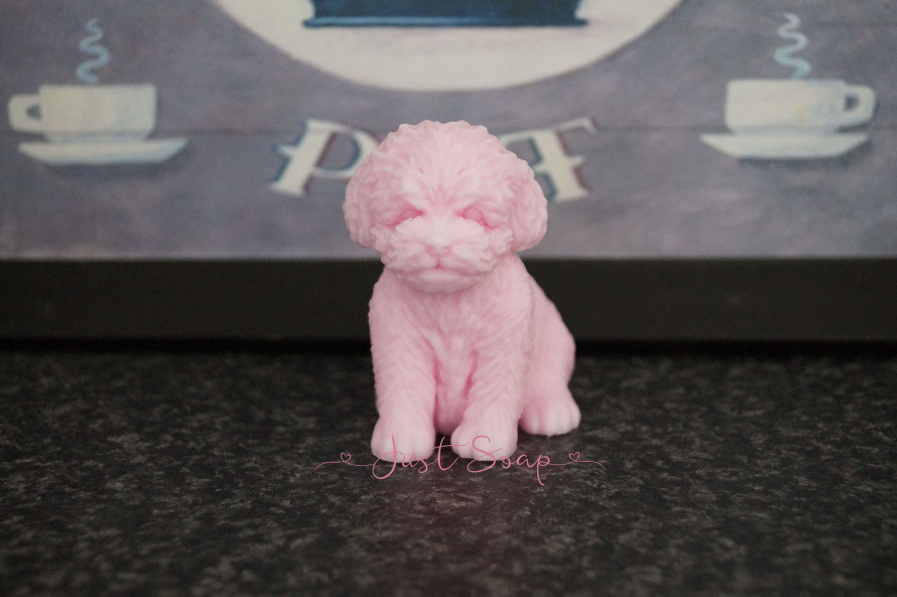 Labradoodle 5