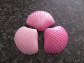 3 Schelpen 2