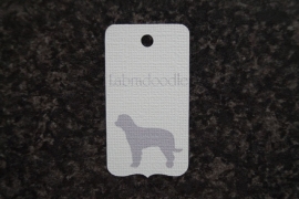 Label Labradoodle