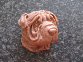 Shar pei 2