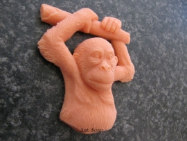 Orang oetan