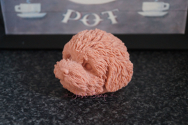 Labradoodle 2
