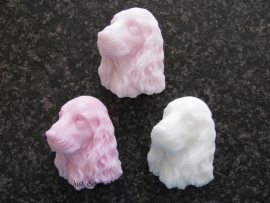 Engelse Cocker Spaniel