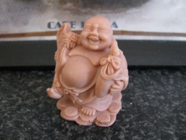 Boeddha met zak op munten