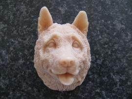 Akita 2