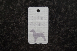 Label Brittany Spaniel