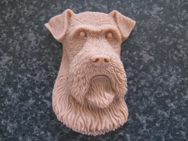 Airedale Terrier