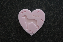 Whippet 2