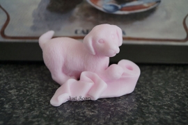 Labrador pup met Wc rol