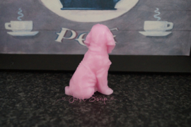 Basset 3