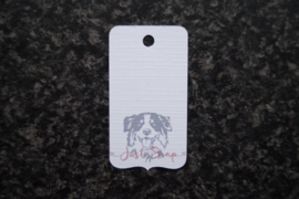 Label Australian Shepherd 2