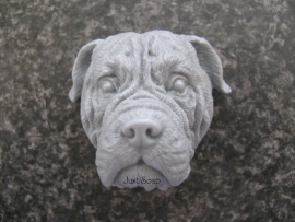 Bullmastiff