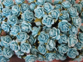 Roosjes Turquoise 10mm Bosje van 10