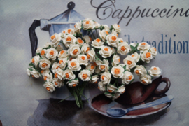 Roosjes 2 Tone Tangerine 10mm Bosje van 10