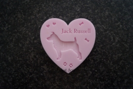 Jack Russell 4