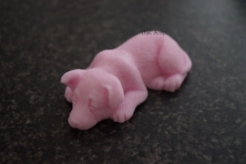 Duitse Herder pup slapend