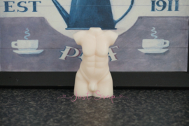 Heren torso 2