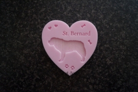 Sint Bernard 2
