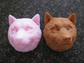 Shiba Inu