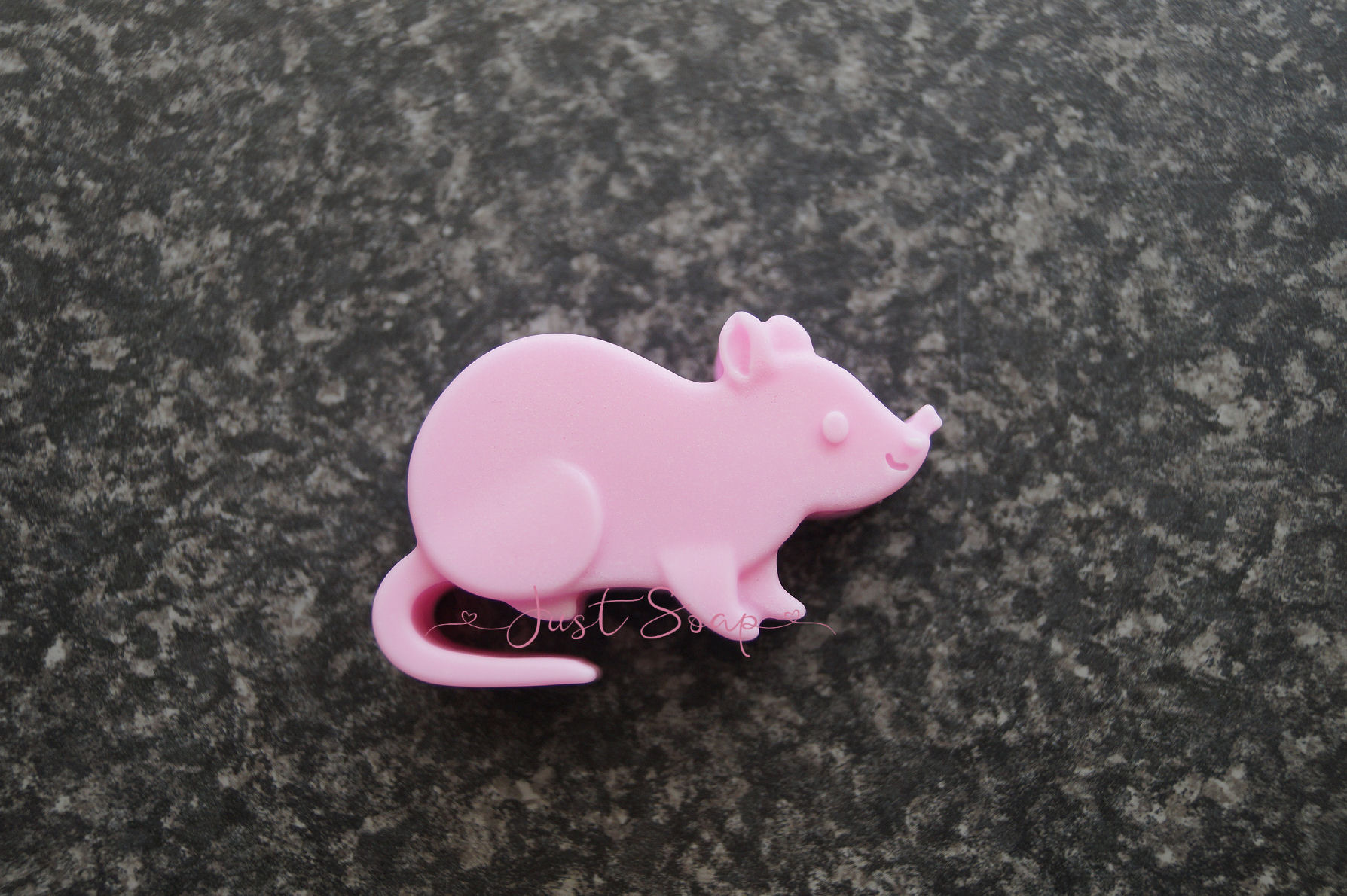Rat