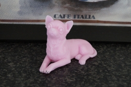 Chihuahua liggend