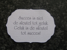 Label Succes is niet de sleutel..