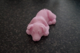 Duitse Herder pup slapend