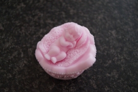 Baby in kroon Meisje