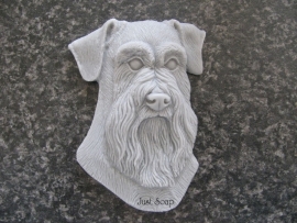 Schnauzer 2