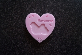 Havanezer