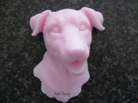 Jack Russell 3