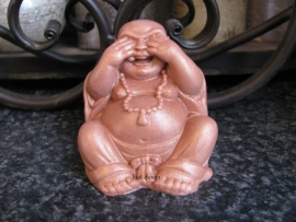 Boeddha zien