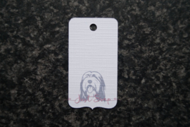 Label Bearded Collie 2