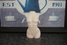 Dames torso 1