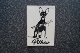 Paspoorthoesje Miniatuur Pinscher 1