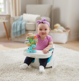 Vtech Dierenpret Reuzenrad