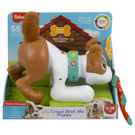 Fisher Price Crawl With Me Puppy