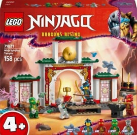 71831 Ninjago Spinjitzu Ninja Tempel