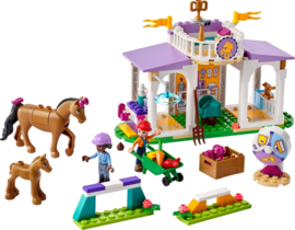 41746 Lego Friends Paardentraining