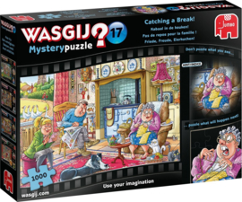 Wasgij Mystery 17