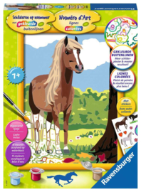 Paard